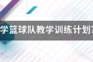 小学篮球校队训练教案